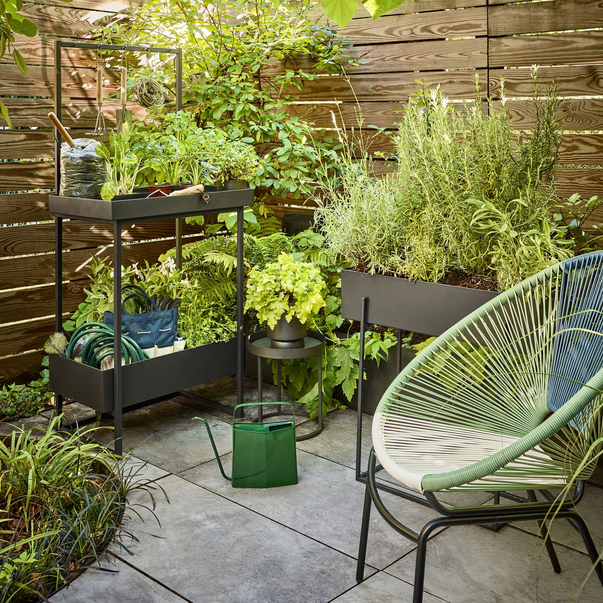 Enhancing Your Outdoor Space with a Stunning Collection of Plants